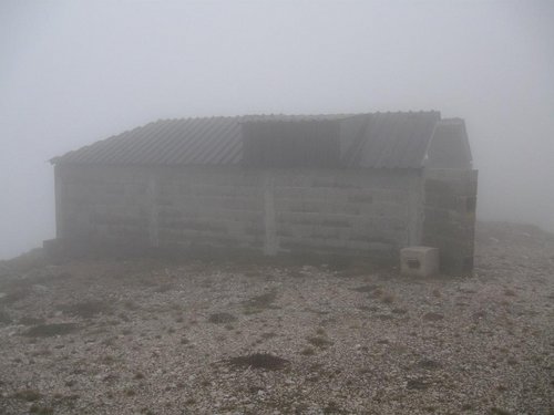IMG_2893.jpg