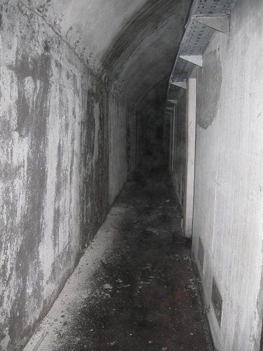 IMG_2982.jpg
