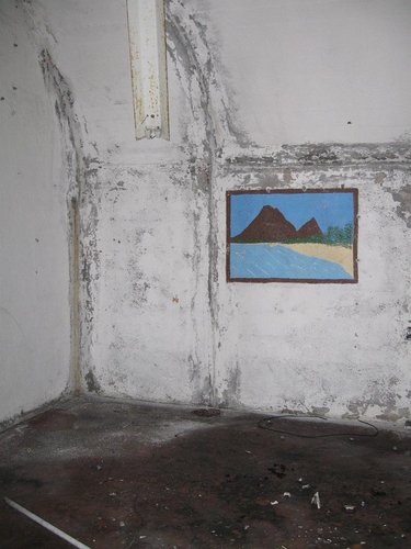 IMG_3003.jpg