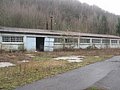 IMG_2495.jpg
