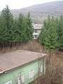 IMG_2501.jpg