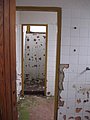 IMG_2571.jpg