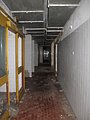 IMG_2572.jpg
