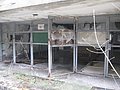 IMG_2615.jpg