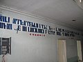 IMG_2617.jpg