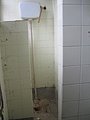 IMG_2629.jpg