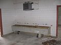 IMG_2650.jpg