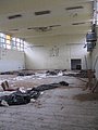 IMG_2654.jpg