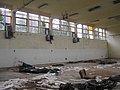 IMG_2655.jpg
