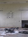 IMG_2656.jpg