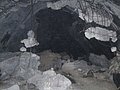 IMG_2719.jpg