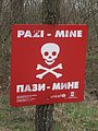 IMG_2734.jpg