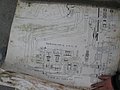 IMG_2739.jpg