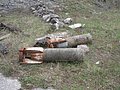 IMG_2742.jpg
