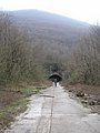 IMG_2743.jpg