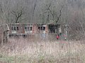 IMG_2765.jpg