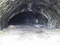 IMG_2776.jpg