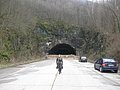 IMG_2781.jpg