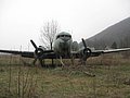IMG_2793.jpg