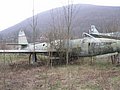 IMG_2795.jpg