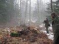 IMG_2844.jpg