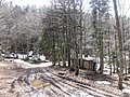 IMG_2848.jpg