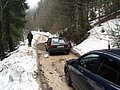 IMG_2850.jpg