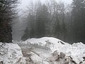 IMG_2855.jpg