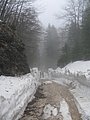 IMG_2857.jpg