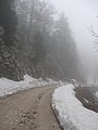 IMG_2859.jpg