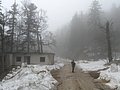 IMG_2867.jpg