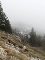 IMG_2868.jpg