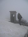 IMG_2873.jpg