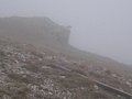 IMG_2883.jpg