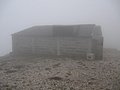 IMG_2893.jpg