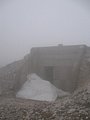 IMG_2895.jpg