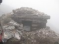 IMG_2907.jpg