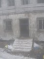 IMG_2918.jpg