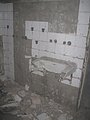 IMG_2944.jpg