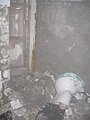 IMG_2945.jpg