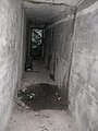 IMG_2962.jpg