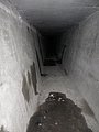 IMG_2963.jpg