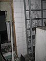 IMG_2979.jpg