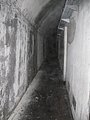 IMG_2982.jpg