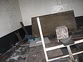 IMG_2984.jpg