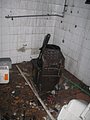 IMG_2985.jpg