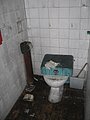 IMG_2988.jpg