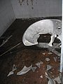 IMG_2989.jpg