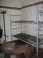 IMG_2991.jpg