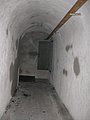 IMG_3006.jpg